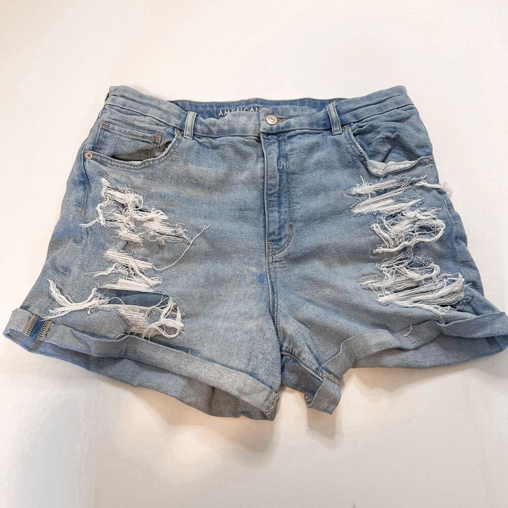 American Eagle‎ Embroidered Curvy Mom Short Size 18